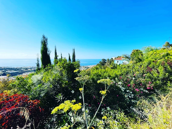 Biohotel: Gartenparadies - Casita Ayurveda Tenerife
