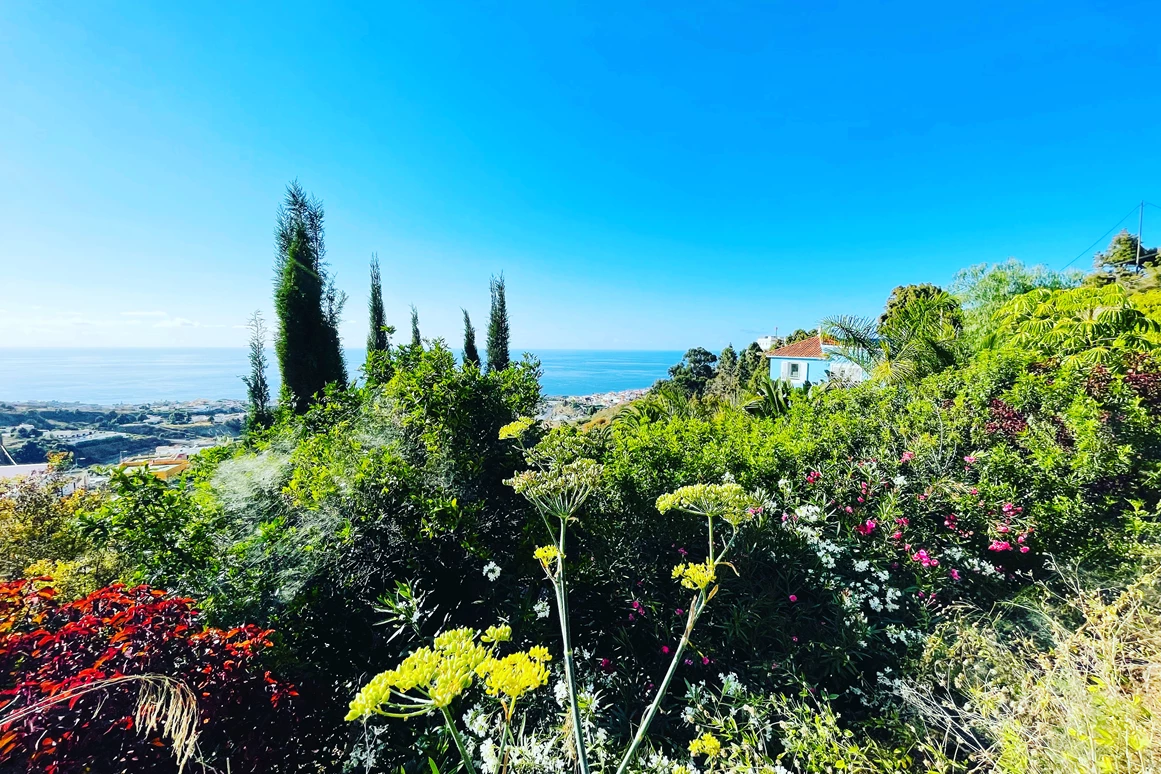 Biohotel: Gartenparadies - Casita Ayurveda Tenerife