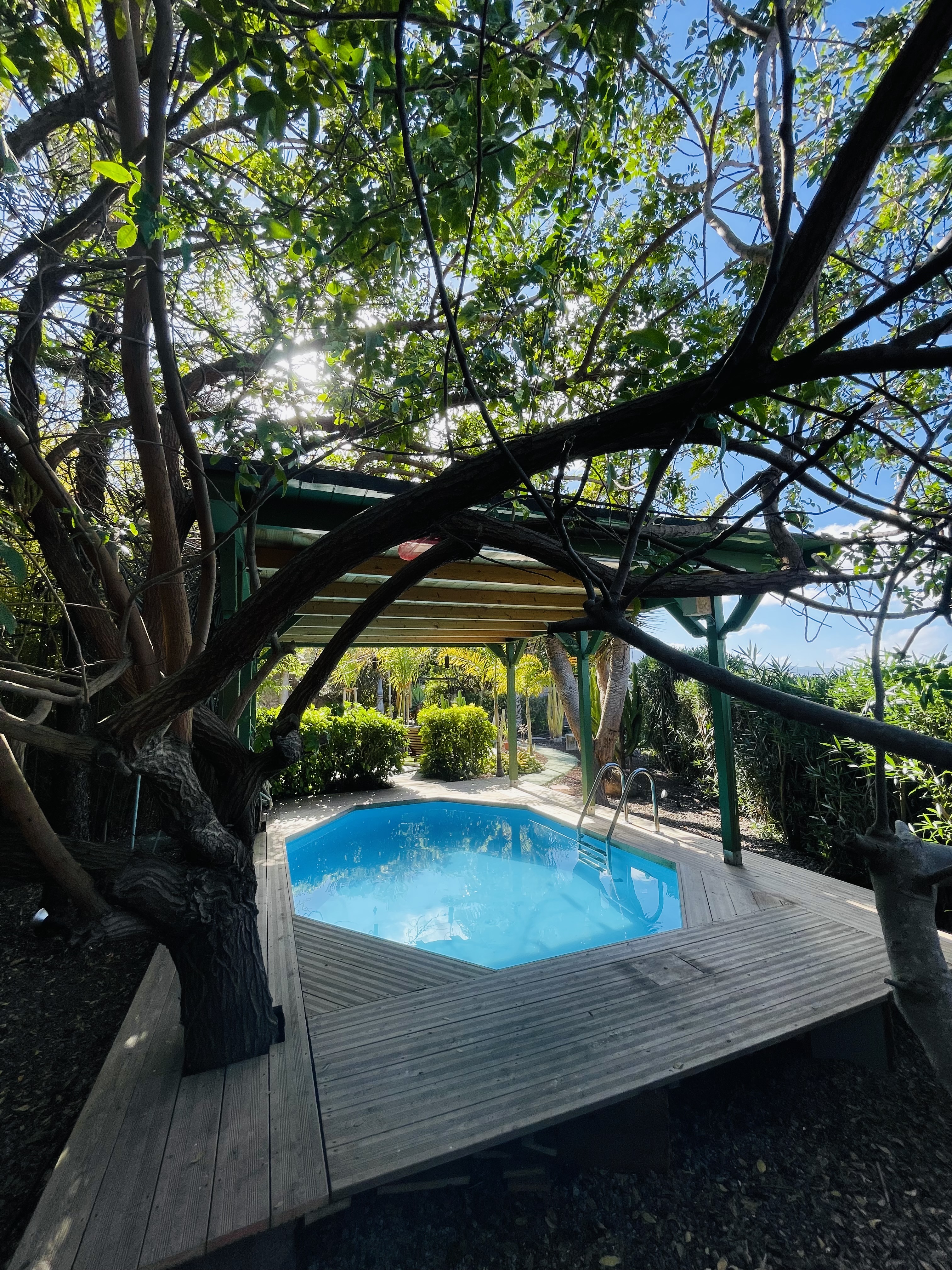 Biohotel: Pool - Casita Ayurveda Tenerife