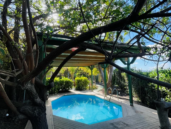 Biohotel: Pool - Casita Ayurveda Tenerife