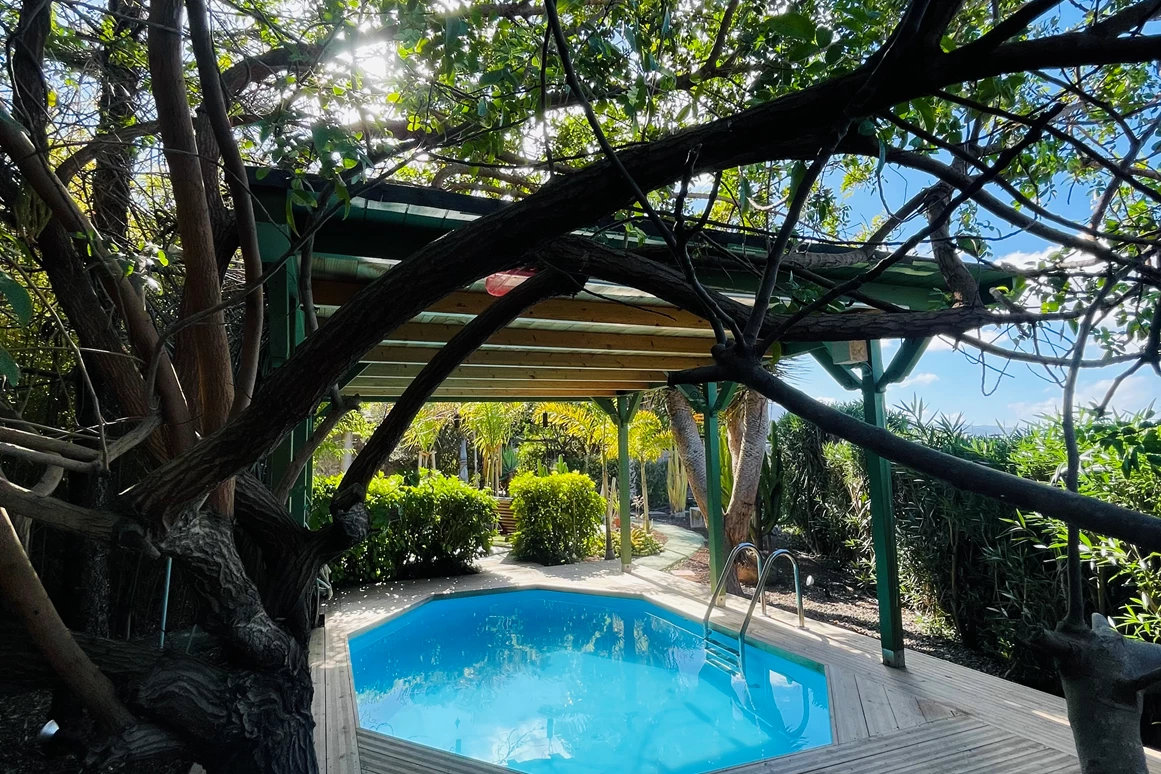 Biohotel: Pool - Casita Ayurveda Tenerife