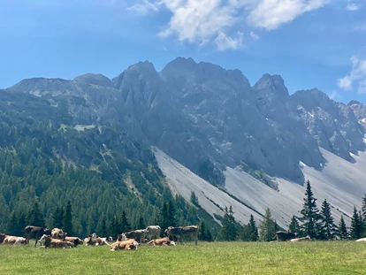 Naturhotel - Ferienwohnungen - Umhausen - mit dem Mountainbike auf der Alm - il nido