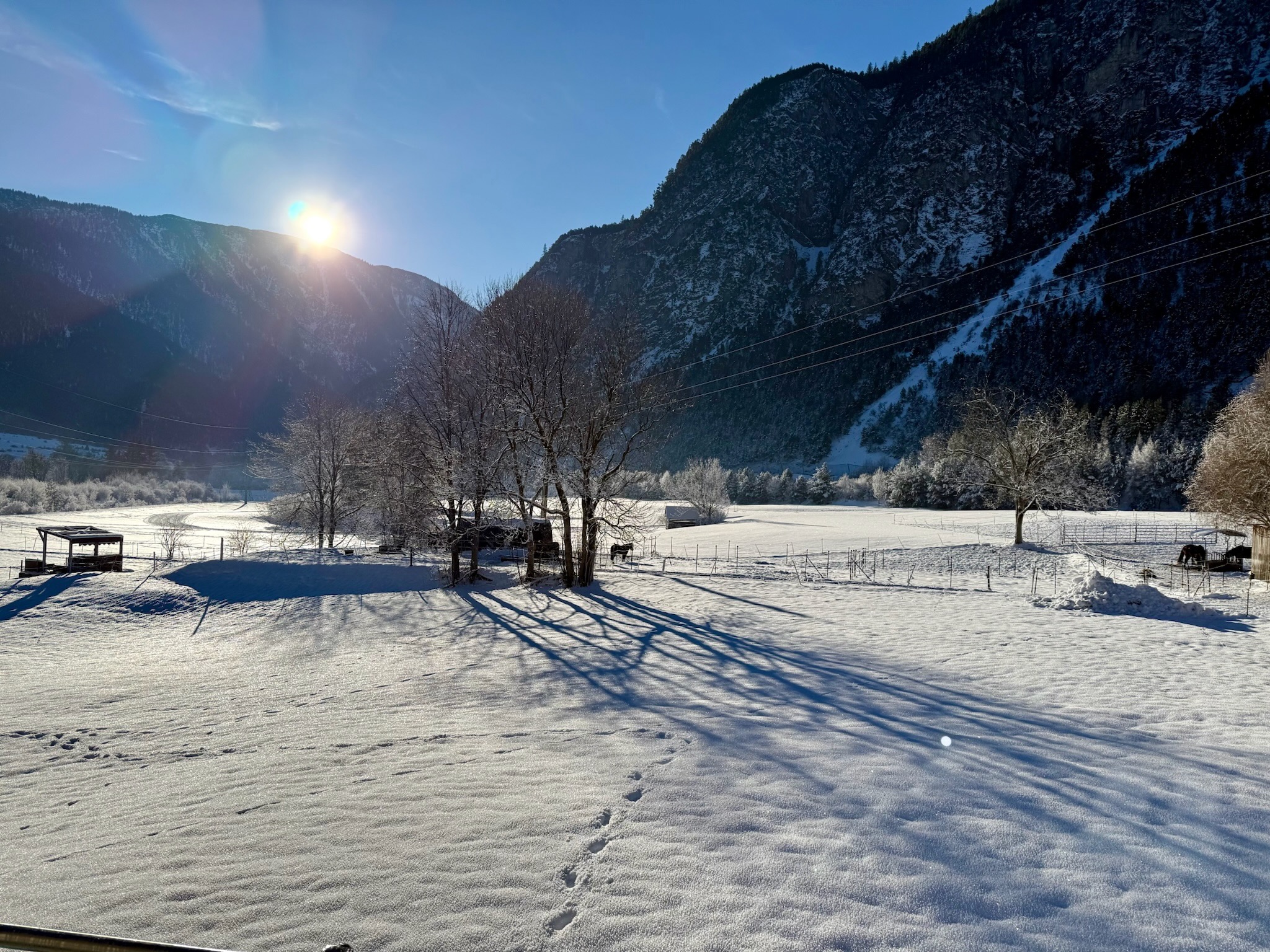 Biohotel: Unsere Pferde gehören zum Ausblick - il nido