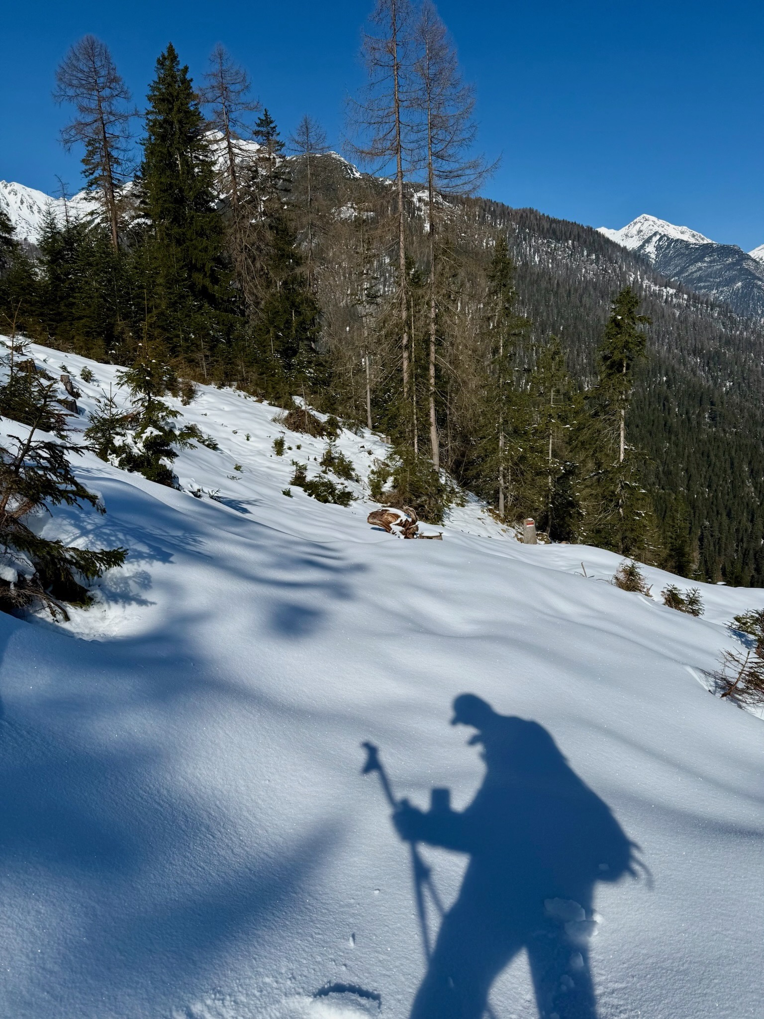 Biohotel: Tourenski und Schneeschuhe im Winter, Mountainbike und Bergschuhe im Sommer.... - il nido