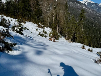 Naturhotel - Ferienwohnungen - Umhausen - Tourenski und Schneeschuhe im Winter, Mountainbike und Bergschuhe im Sommer.... - il nido