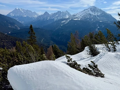 Naturhotel - Ferienwohnungen - Umhausen - Wannig, Zugspitze, Frohsinn hinter der Linse... - il nido
