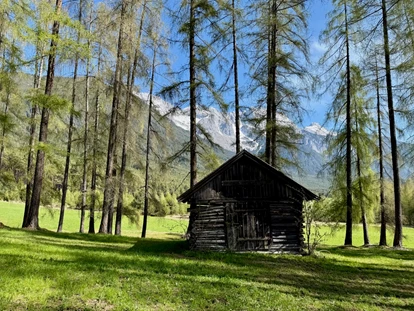 Naturhotel - Ferienwohnungen - Umhausen - Unsere Lärchenwiesen (von denen unsere Betten stammen). - il nido