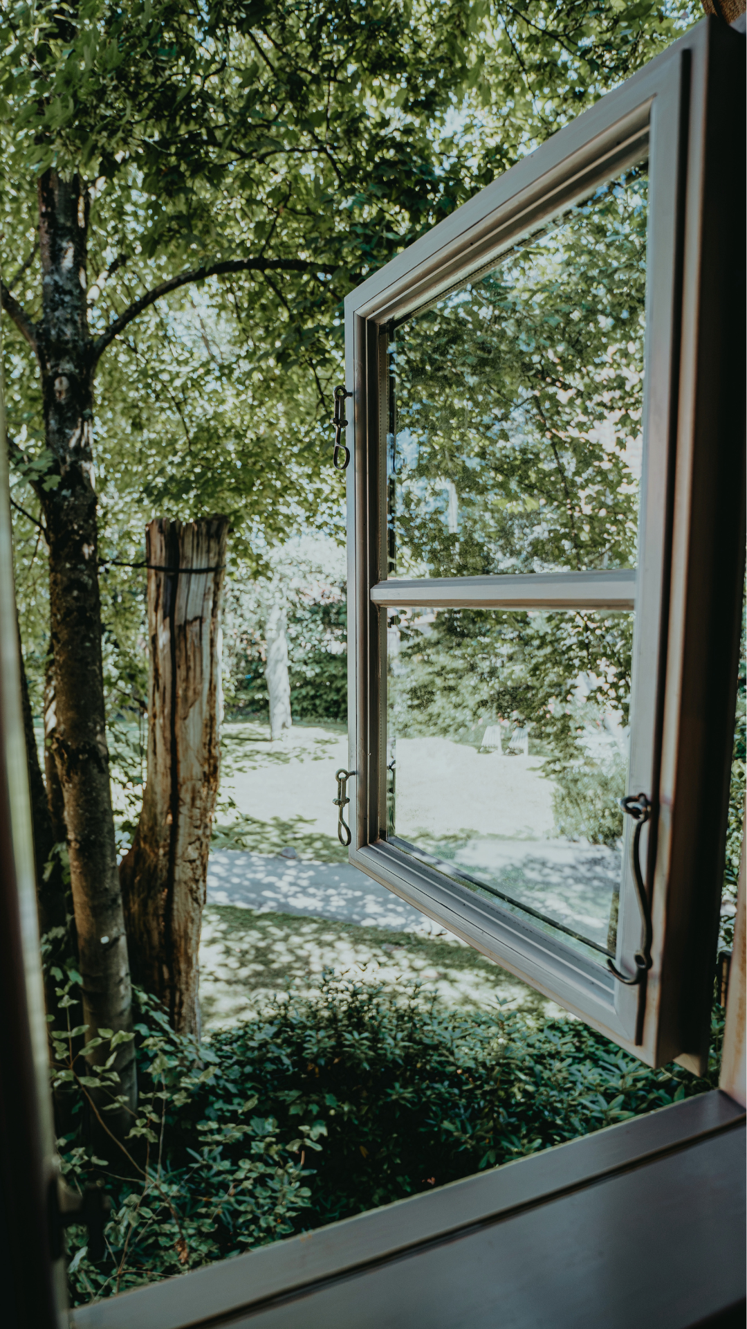 Biohotel: Blick aus Einzelzimmer, dicke Eiche - Biohotel Wildland 