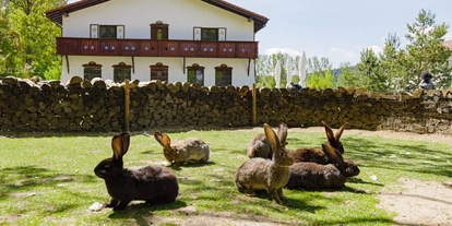 Naturhotel - Bezahlsysteme: Bank-Überweisung - Rumänien Ost - Wolkendorf BioHotel & Spa