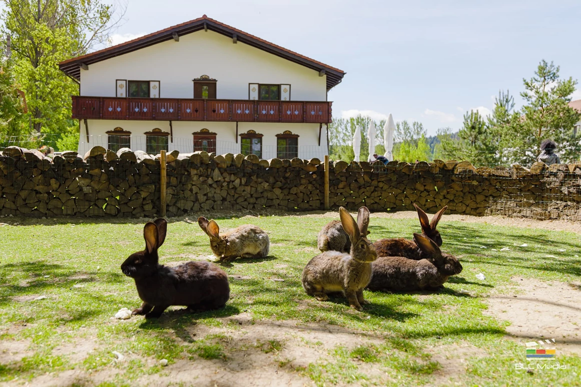 Biohotel: Wolkendorf BioHotel & Spa