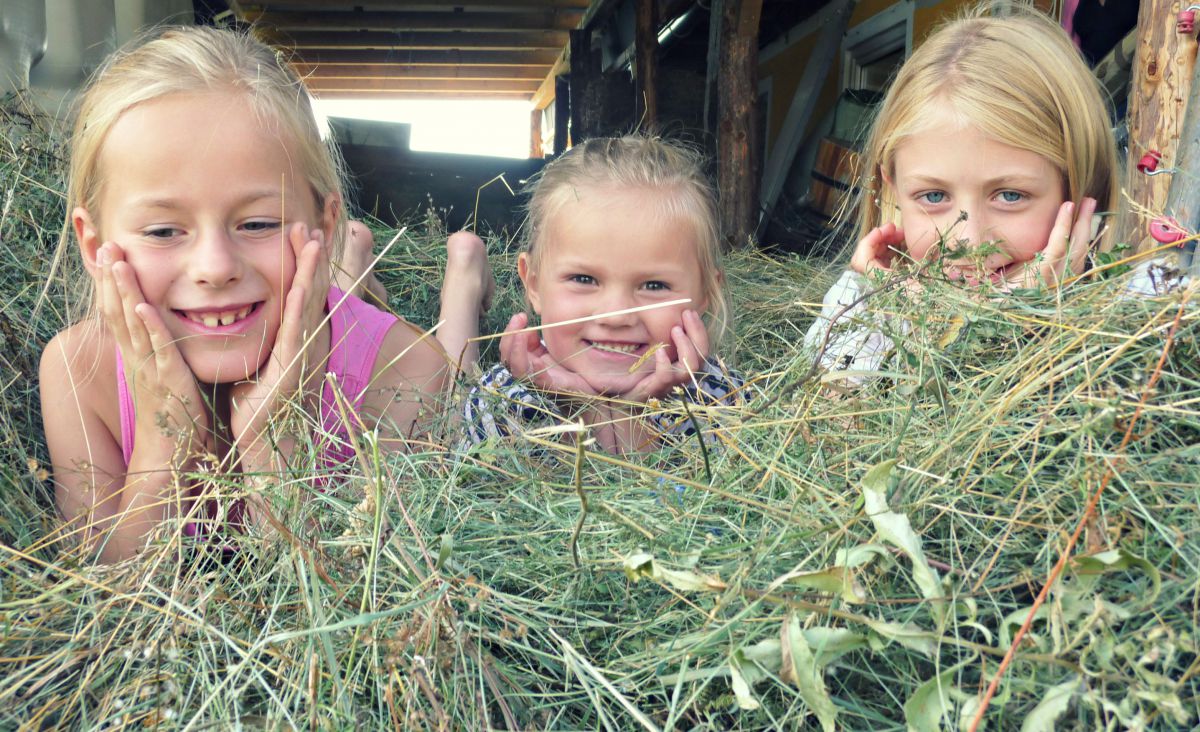 Biohotel: Sommerfrische im Familienparadies - Bauernhof Petschnighof