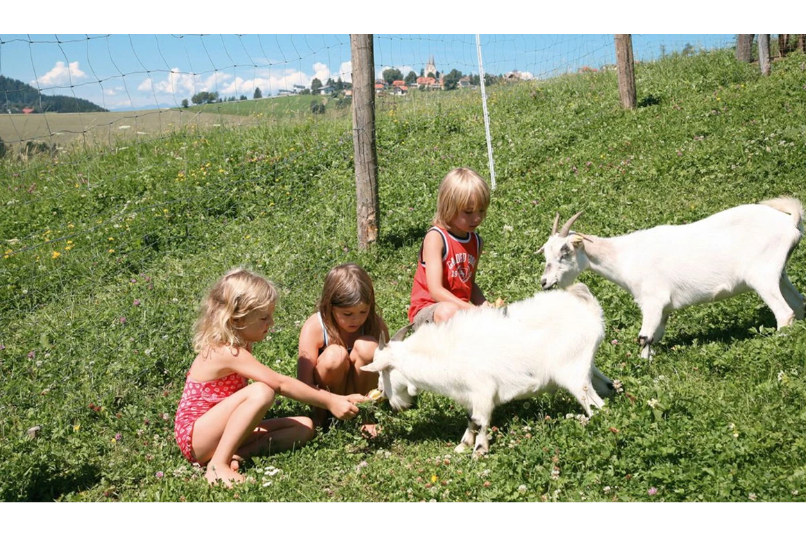 Biohotel: Tiere streicheln beim Bio-Urlaub auf dem Bauernhof - Bio-Bauernhof Petschnighof