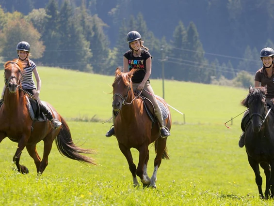 Biohotel: Reiterferien - Bio-Bauernhof Petschnighof