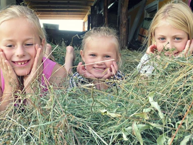 Biohotel: Sommerfrische im Familienparadies - Bio-Bauernhof Petschnighof