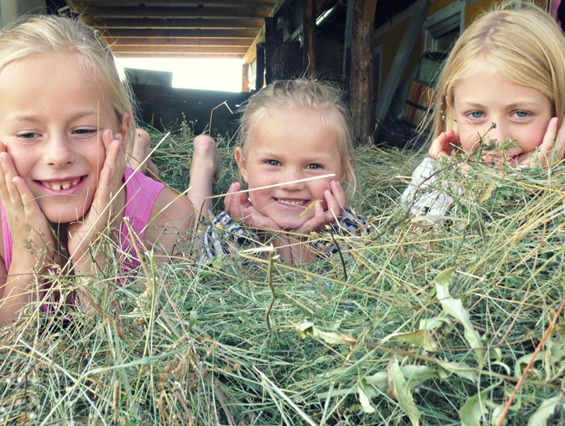 Biohotel: Sommerfrische im Familienparadies - Bio-Bauernhof Petschnighof