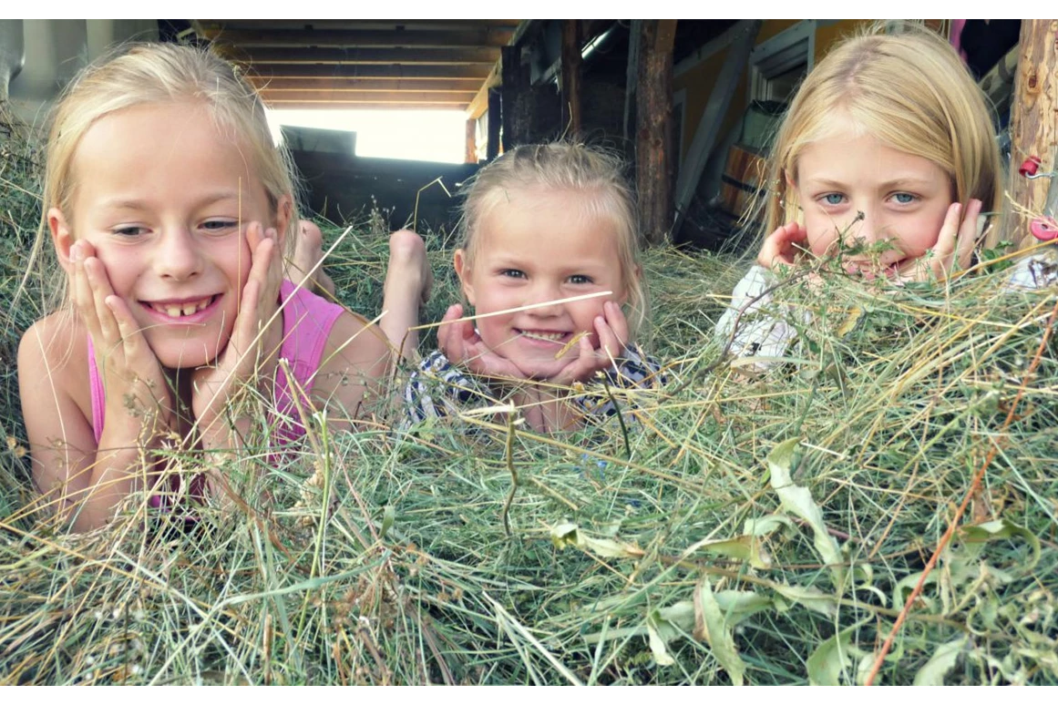Biohotel: Sommerfrische im Familienparadies - Bio-Bauernhof Petschnighof