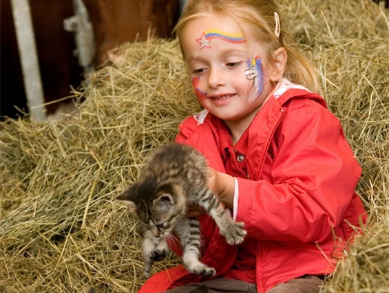 Biohotel: Bauernhof Herbst - Bio-Bauernhof Petschnighof