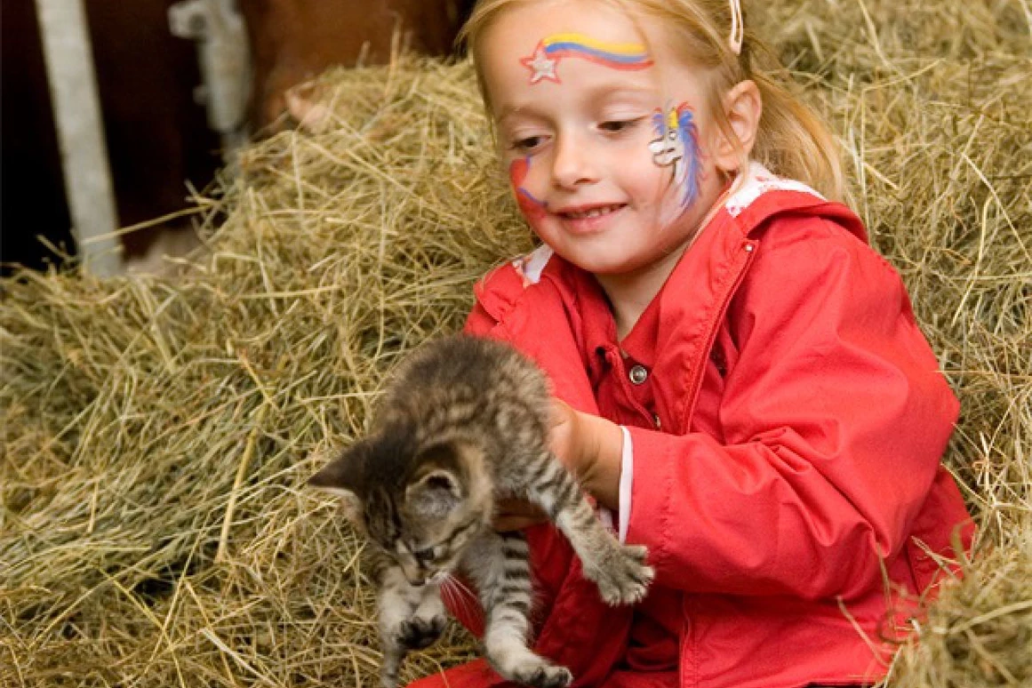 Biohotel: Bauernhof Herbst - Bio-Bauernhof Petschnighof