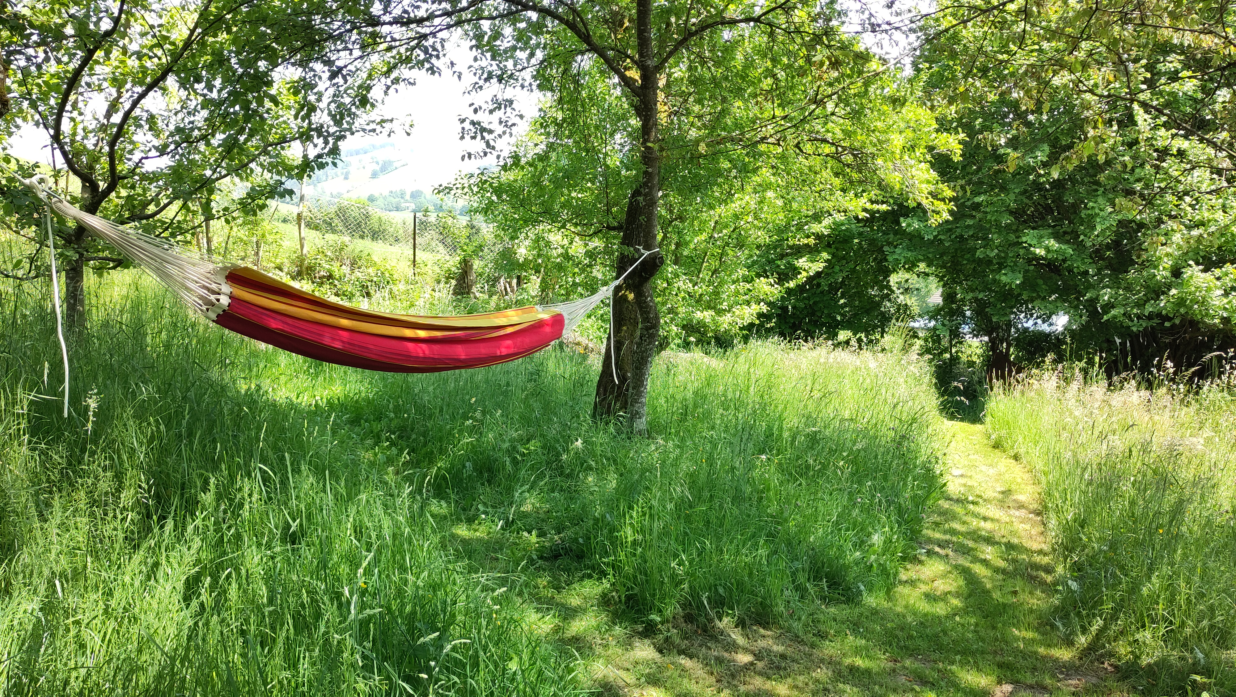 Biohotel: Naturparadies am Sonntagberg