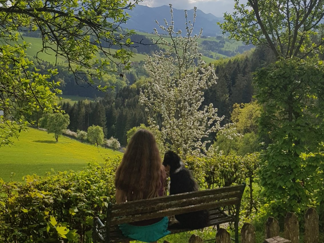 Biohotel: Naturparadies am Sonntagberg