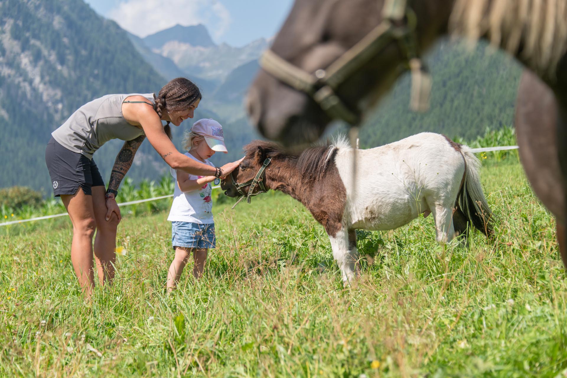 Biohotel: linara mountain family stay