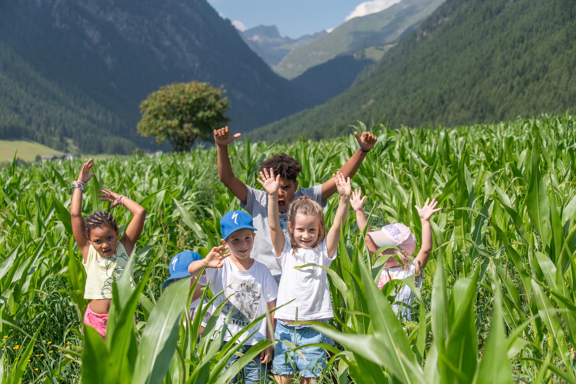 Biohotel: linara mountain family stay