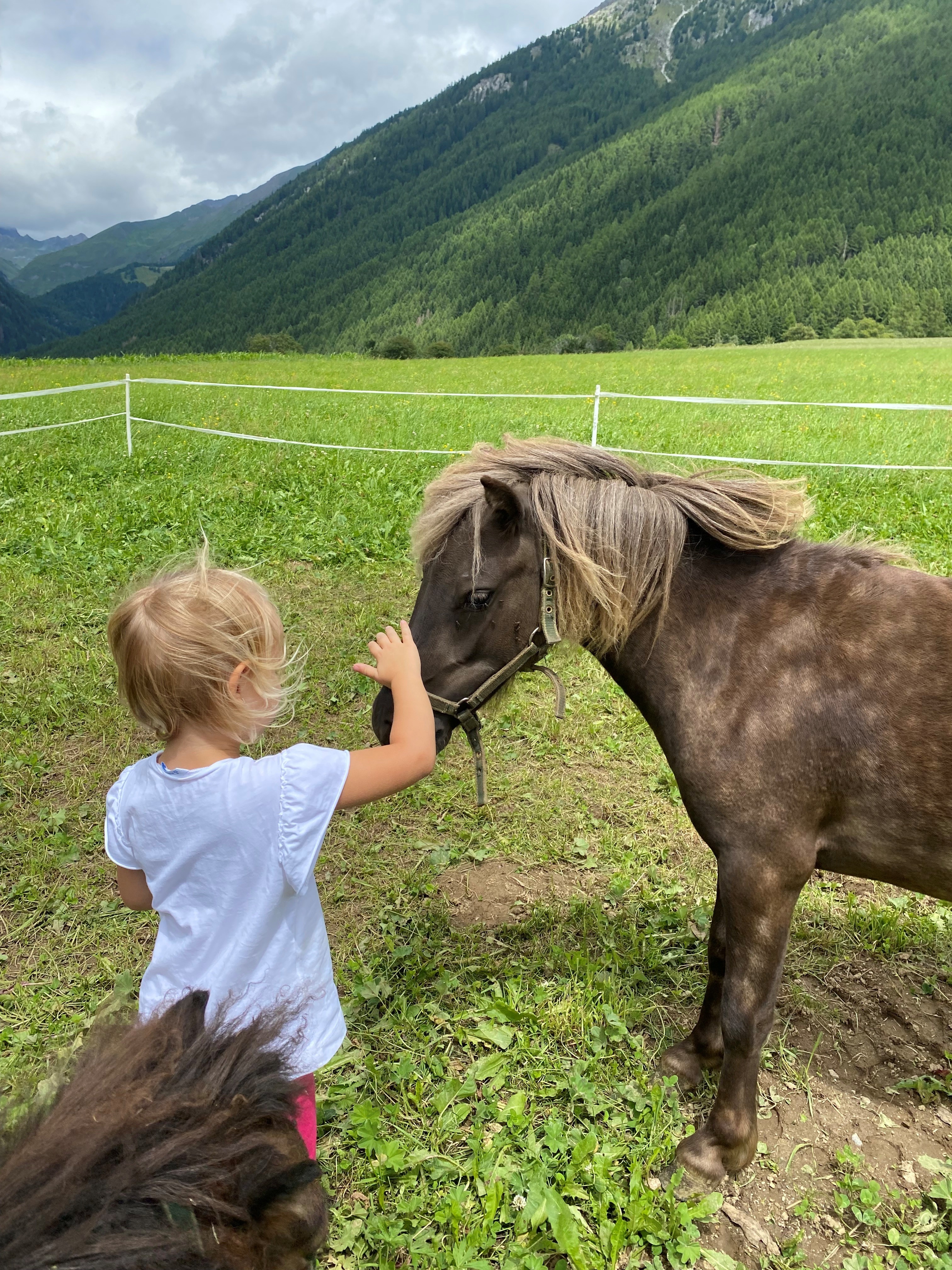 Biohotel: linara mountain family stay