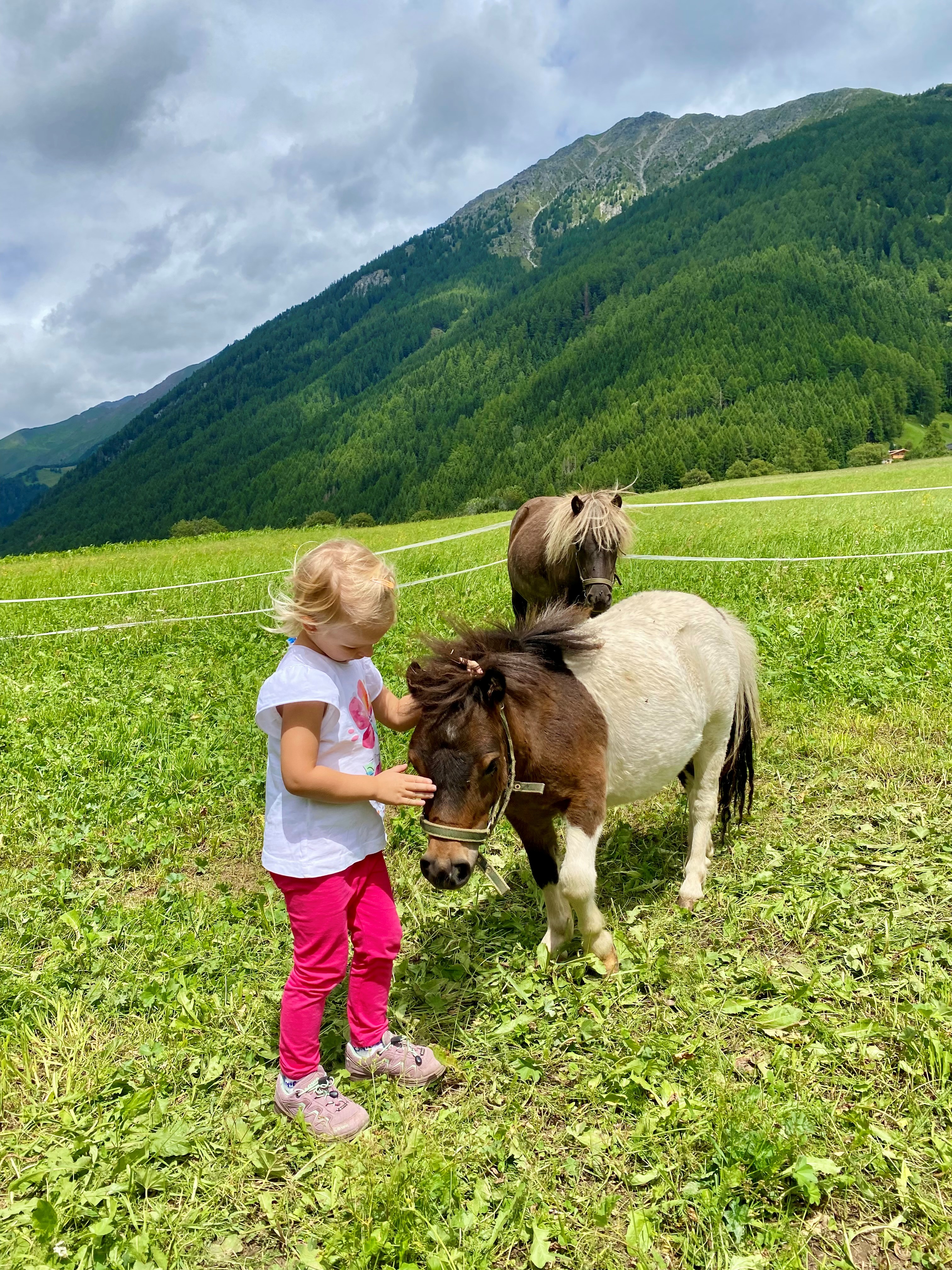 Biohotel: linara mountain family stay
