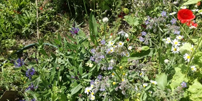 Naturhotel - Osttirol - Der Garten - ein Paradies für Bienen - Katharinas Veganer Naturgasthof