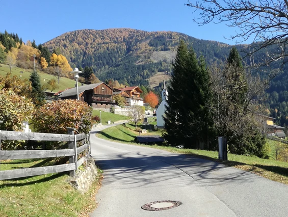 Biohotel: Der Gasthof zum Ederplan liegt inmitten von Wald, unberührter Natur und Wiesen - Katharinas Veganer Naturgasthof