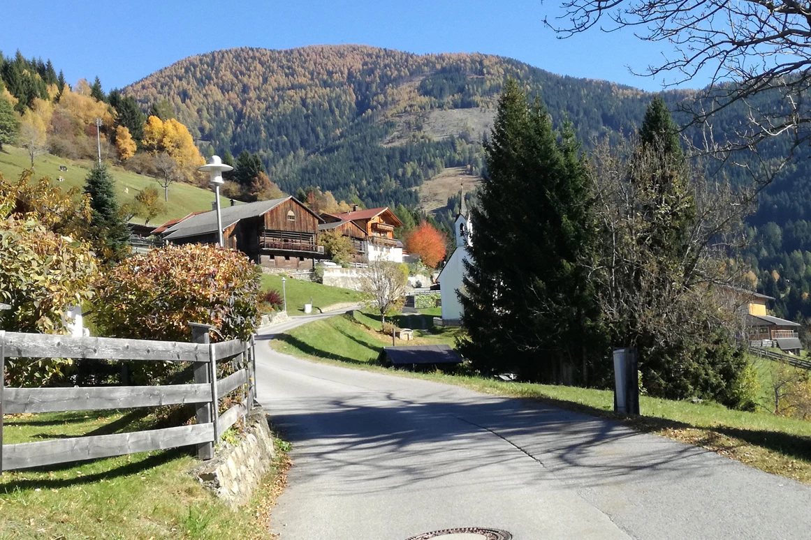 Biohotel: Der Gasthof zum Ederplan liegt inmitten von Wald, unberührter Natur und Wiesen - Katharinas Veganer Naturgasthof