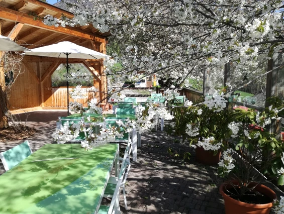 Biohotel: Die Sonnenterrasse - Katharinas Veganer Naturgasthof