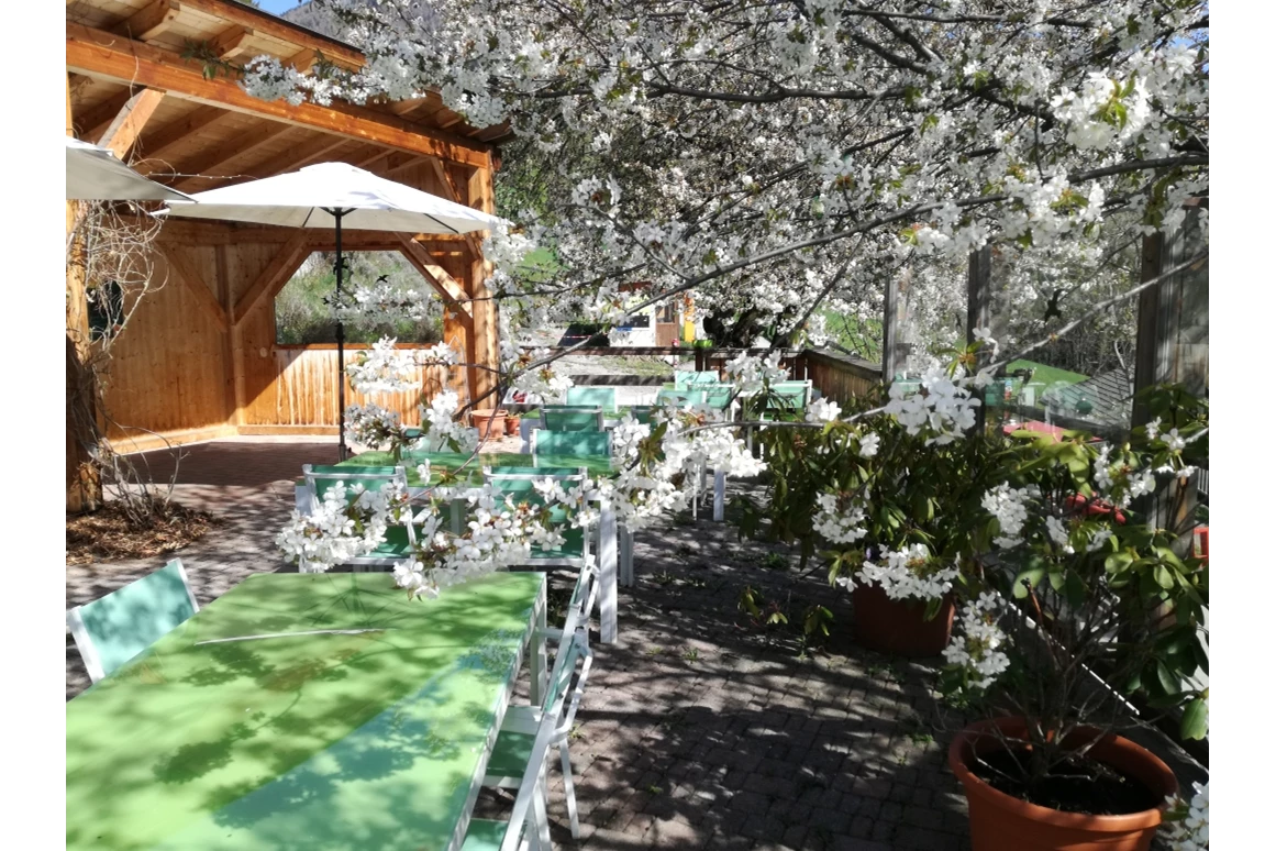 Biohotel: Die Sonnenterrasse - Katharinas Veganer Naturgasthof