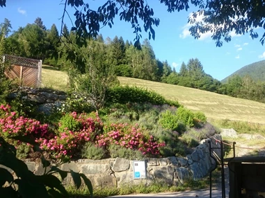 Biohotel: In den Bergen in pollenarmer Luft auf 1130m gelegen - Katharinas Veganer Naturgasthof