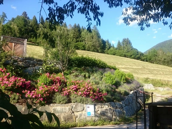Biohotel: In den Bergen in pollenarmer Luft auf 1130m gelegen - Katharinas Veganer Naturgasthof