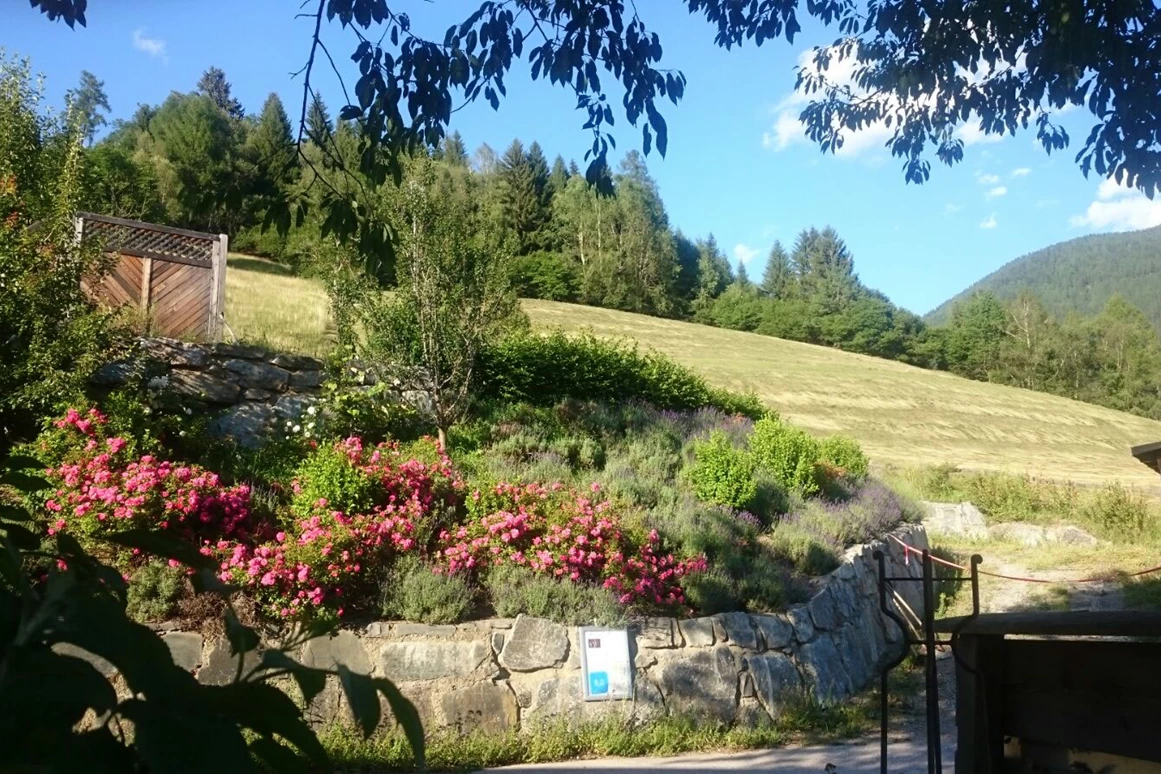 Biohotel: In den Bergen in pollenarmer Luft auf 1130m gelegen - Katharinas Veganer Naturgasthof
