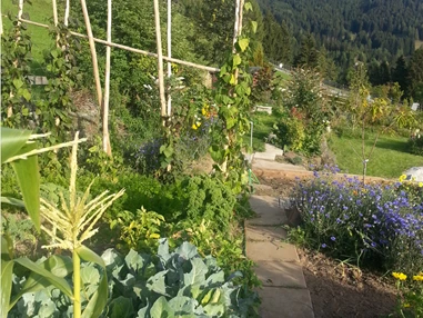 Biohotel: Eigener Permakulturgarten - Katharinas Veganer Naturgasthof