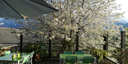 Naturhotel - Osttirol - Sonnenterrasse mit Bienenweide - Katharinas Veganer Naturgasthof