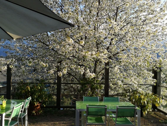 Biohotel: Sonnenterrasse mit Bienenweide - Katharinas Veganer Naturgasthof
