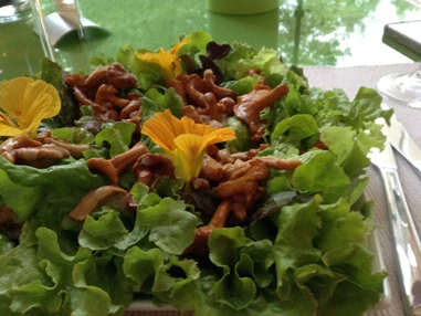 Biohotel: Vegane TCM Küche - viele der Zutaten für das Essen stammen aus eigenem Anbau oder aus aus biologischer Landwirtschaft - Katharinas Veganer Naturgasthof