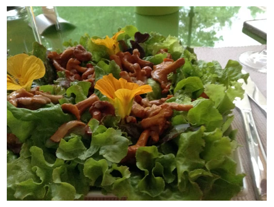 Biohotel: Vegane TCM Küche - viele der Zutaten für das Essen stammen aus eigenem Anbau oder aus aus biologischer Landwirtschaft - Katharinas Veganer Naturgasthof