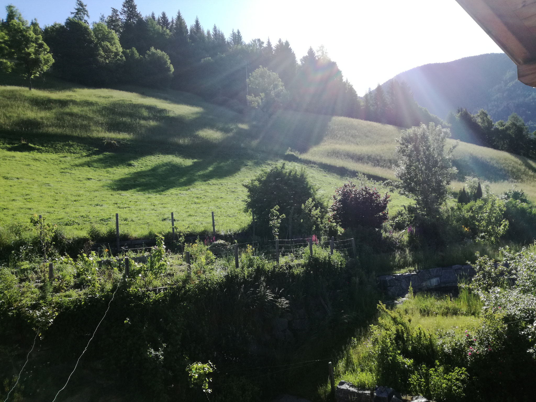 Biohotel: Wanderwege führen direkt vom Haus - Katharinas Veganer Naturgasthof 