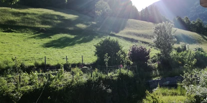 Naturhotel - Osttirol - Wanderwege führen direkt vom Haus - Katharinas Veganer Naturgasthof