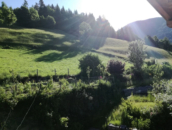 Biohotel: Wanderwege führen direkt vom Haus - Katharinas Veganer Naturgasthof