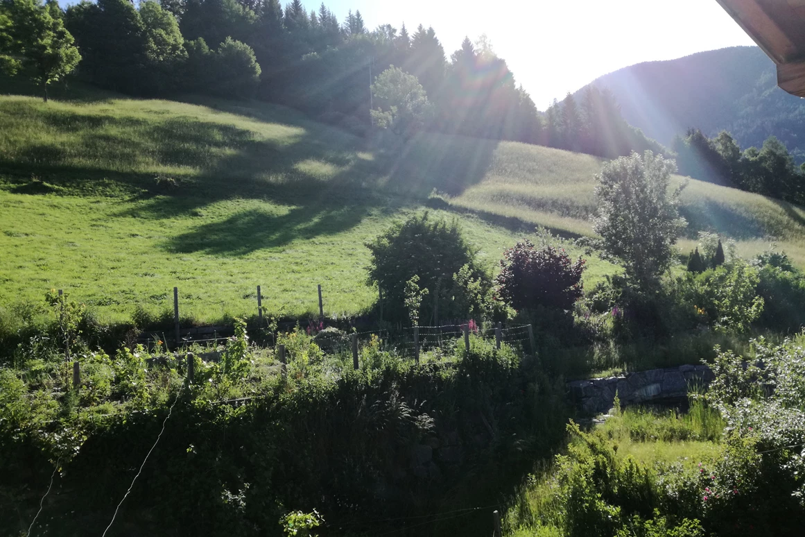 Biohotel: Wanderwege führen direkt vom Haus - Katharinas Veganer Naturgasthof
