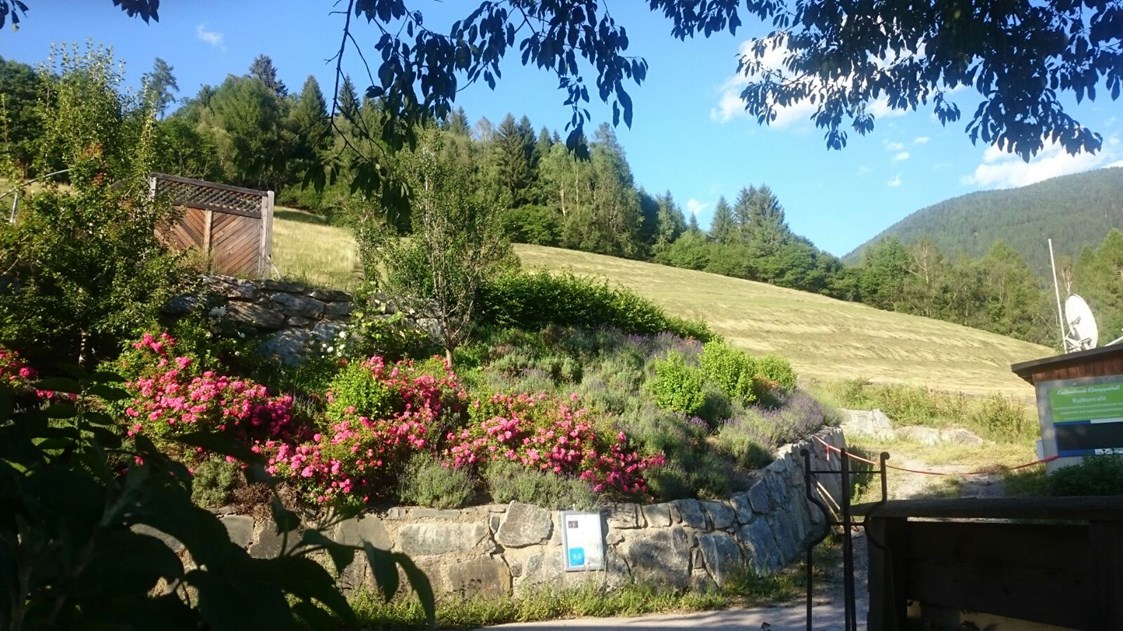 Biohotel: In den Bergen in pollenarmer Luft auf 1130m gelegen - Veganer Gasthof zum Ederplan
