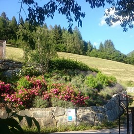 Biohotel: In den Bergen in pollenarmer Luft auf 1130m gelegen - Veganer Gasthof zum Ederplan
