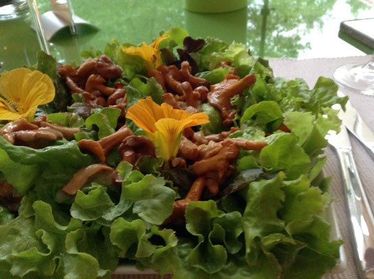 Biohotel: Vegane TCM Küche - viele der Zutaten für das Essen stammen aus eigenem Anbau oder aus aus biologischer Landwirtschaft - Veganer Gasthof zum Ederplan
