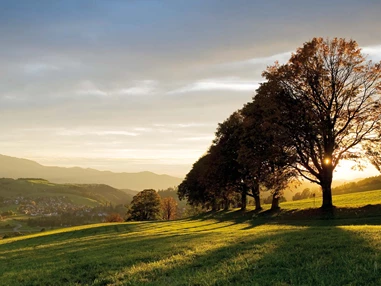 Biohotel: Bio-Philosophie des Hotel Sonne St.Peter - Biohotel Sonne St. Peter