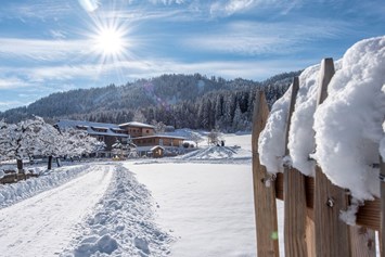 Biohotel: Winterurlaub am Weissensee in Österreich - BIO-Kinderhotel Kreuzwirt
